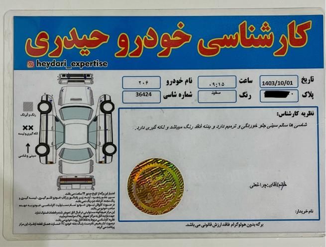 پژو 206 تیپ 2 - 1395