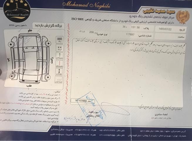 پژو 206 تیپ 2 - 1389