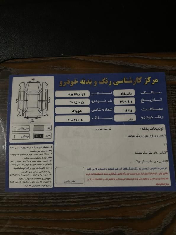 پژو 206 تیپ 2 - 1401