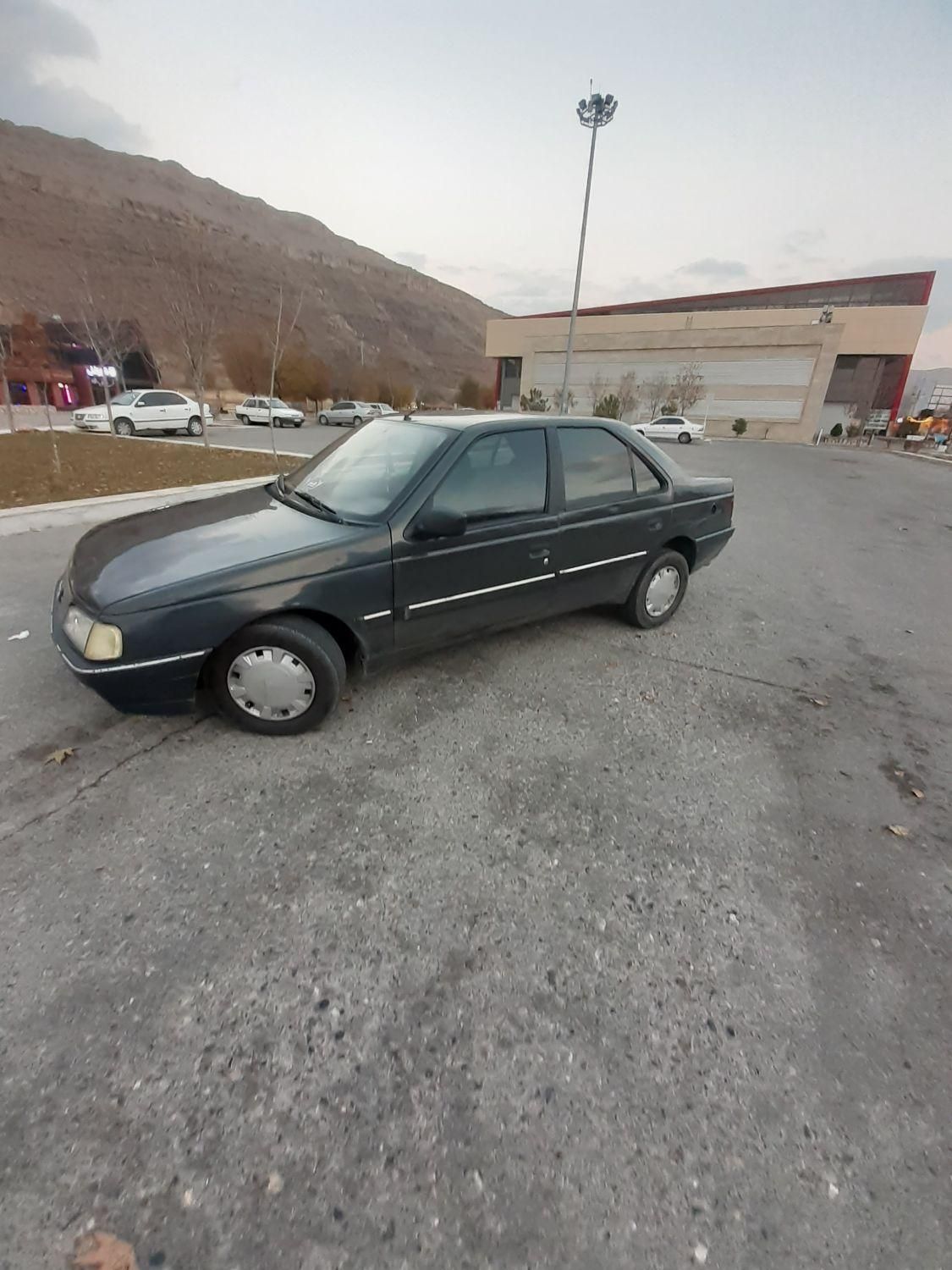 پژو 405 GLI - دوگانه سوز CNG - 1384