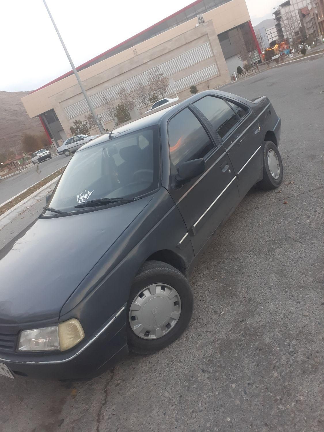 پژو 405 GLI - دوگانه سوز CNG - 1384