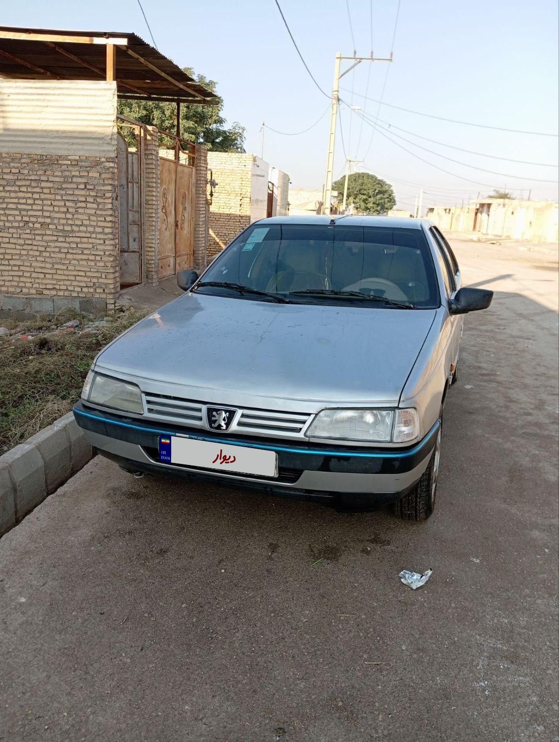 پژو 405 GL - دوگانه سوز CNG - 1369