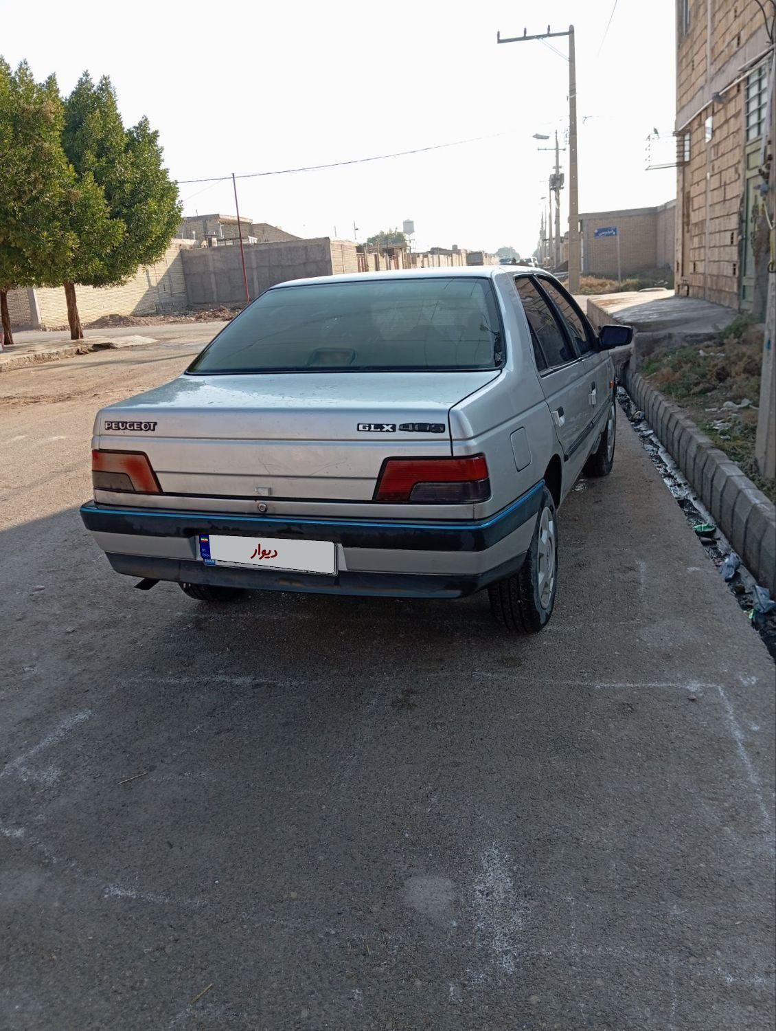 پژو 405 GL - دوگانه سوز CNG - 1369