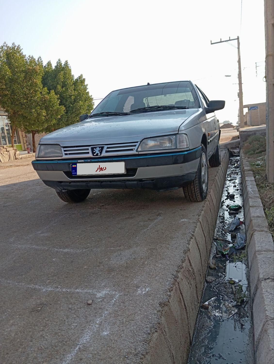 پژو 405 GL - دوگانه سوز CNG - 1369