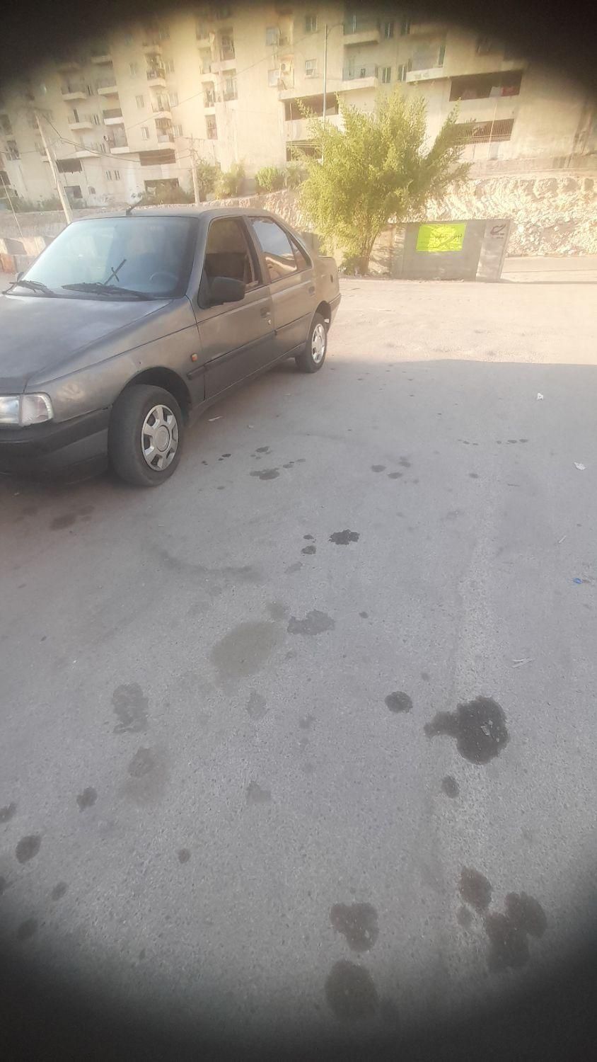 پژو 405 GL - دوگانه سوز CNG - 1370