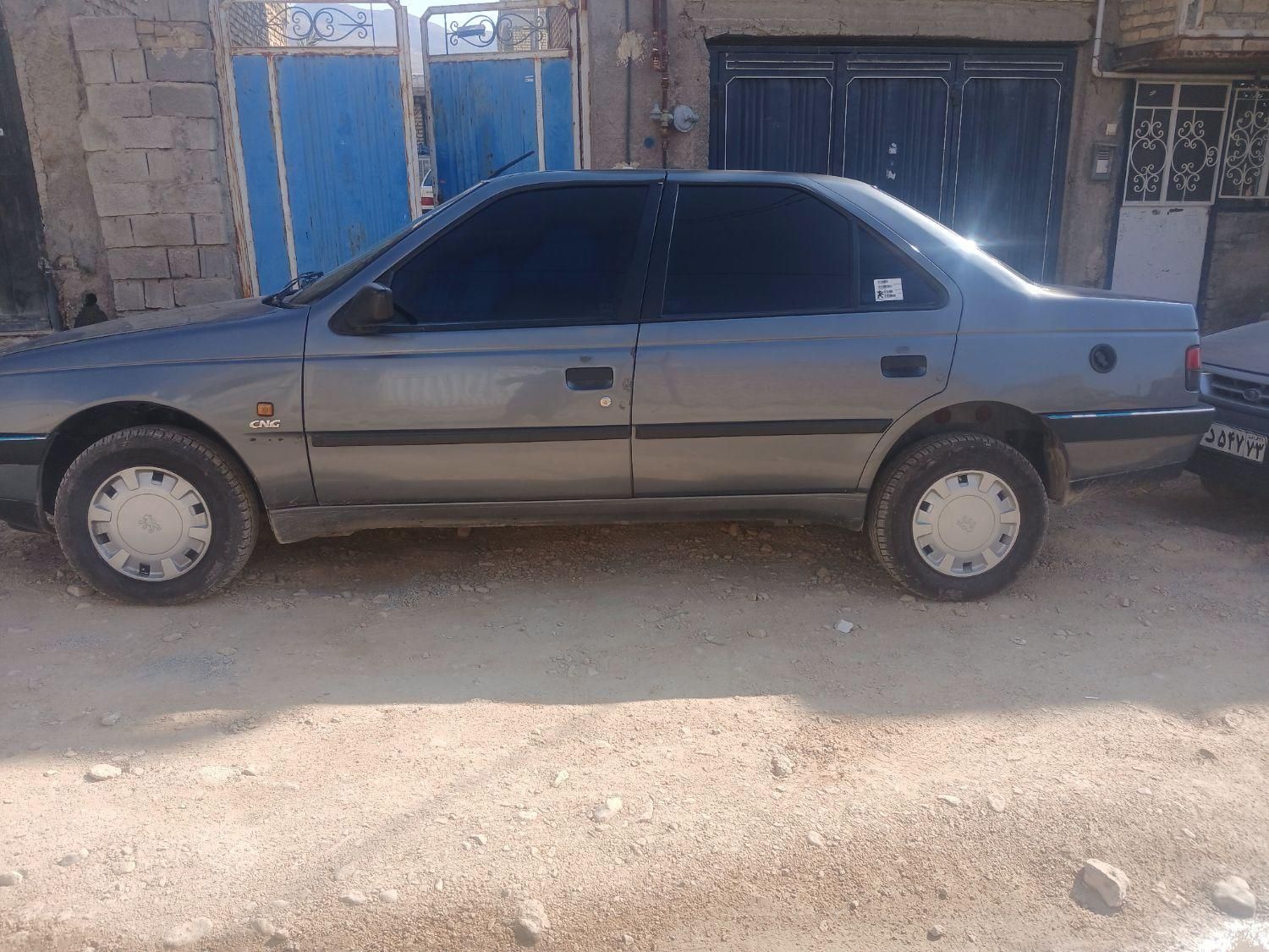 پژو 405 GL - دوگانه سوز CNG - 1369