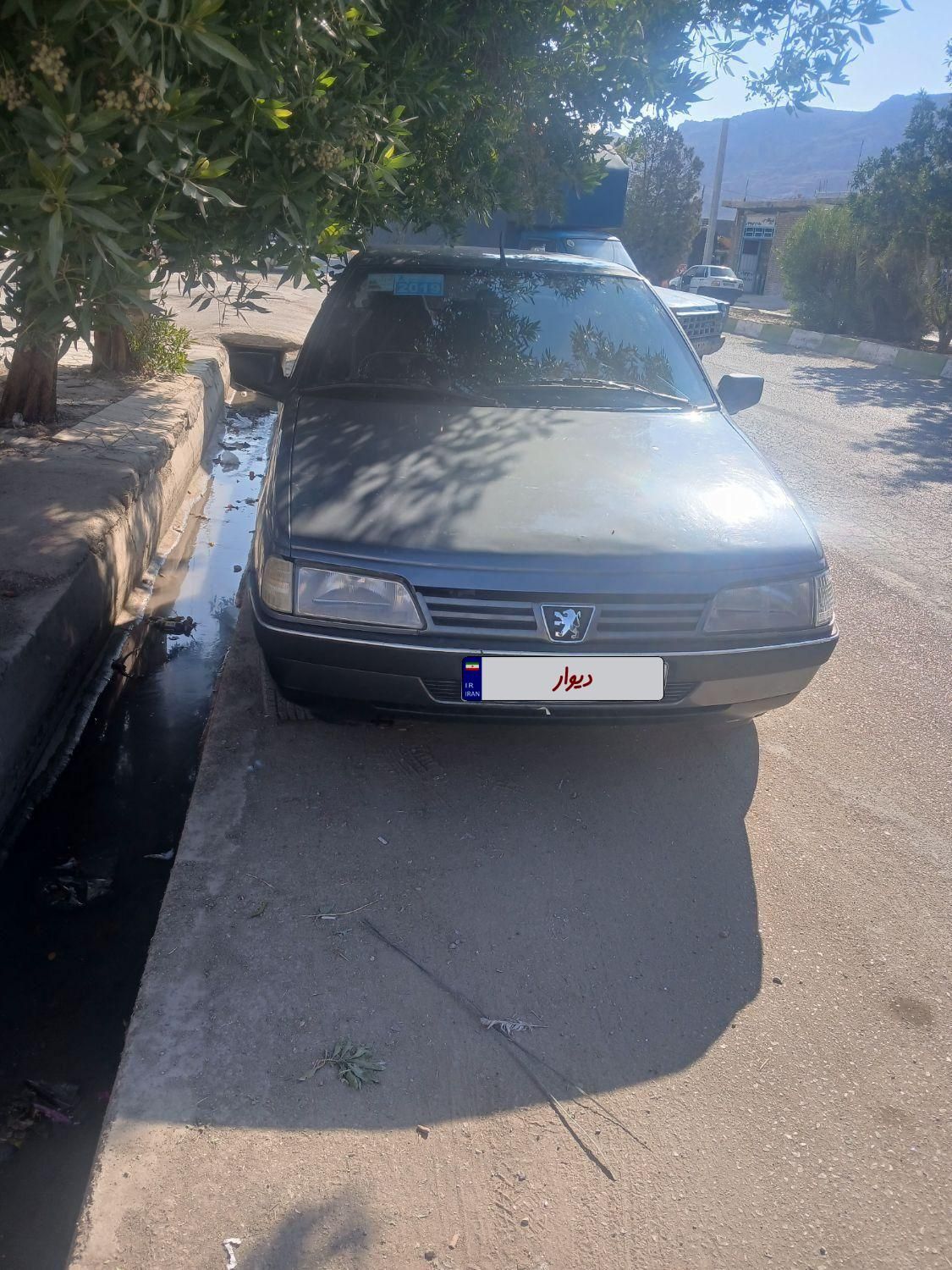 پژو 405 GL - دوگانه سوز CNG - 1369