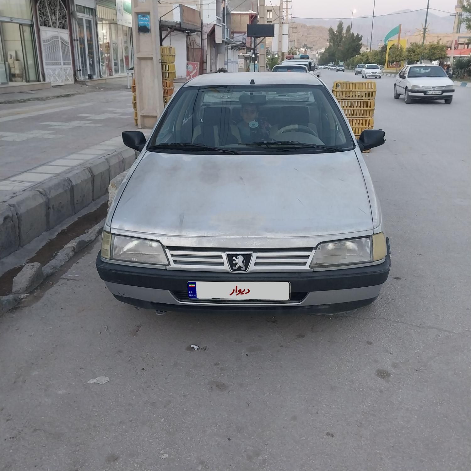 پژو 405 GL - دوگانه سوز CNG - 1373