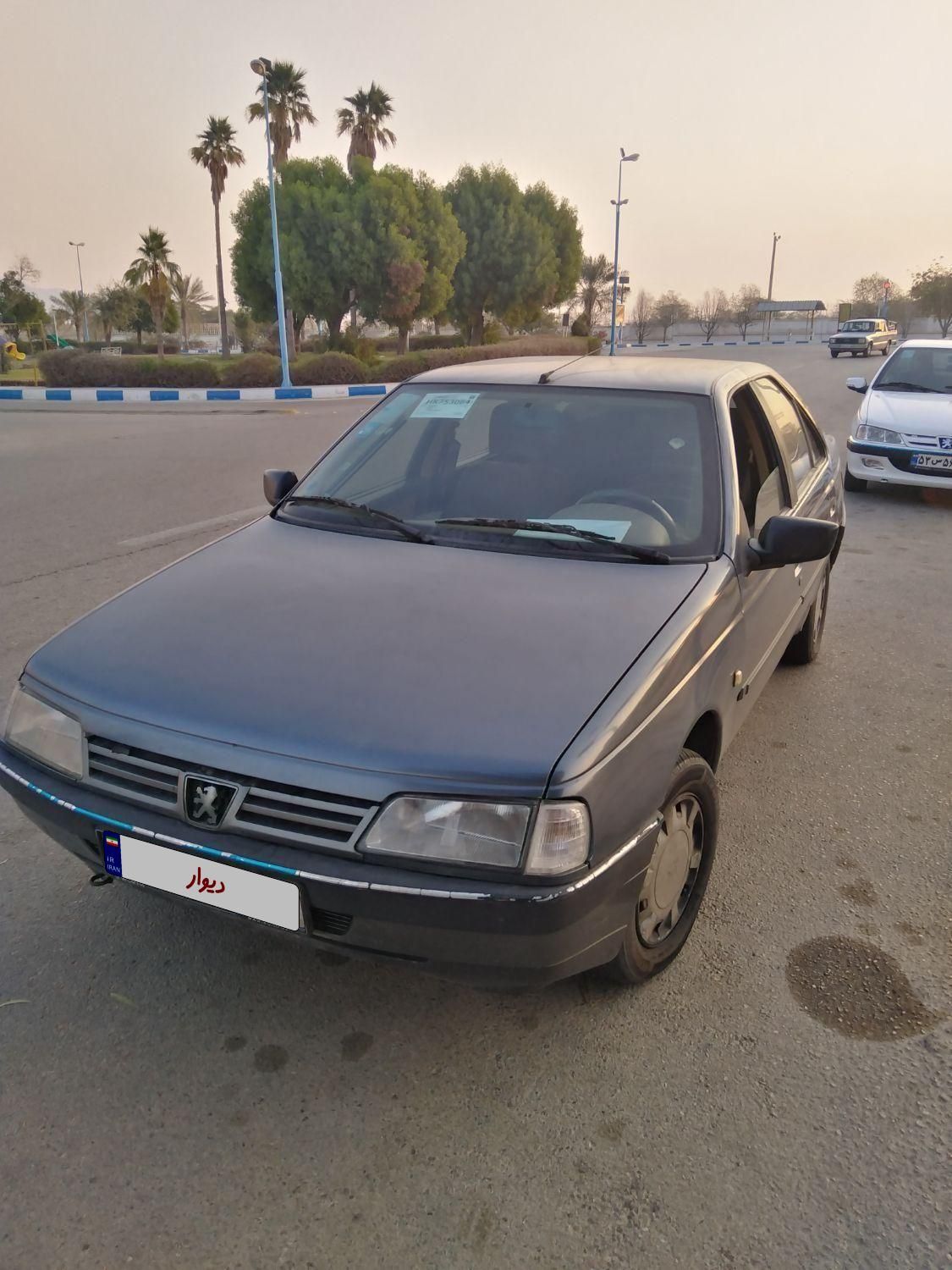 پژو 405 GL - دوگانه سوز CNG - 1373