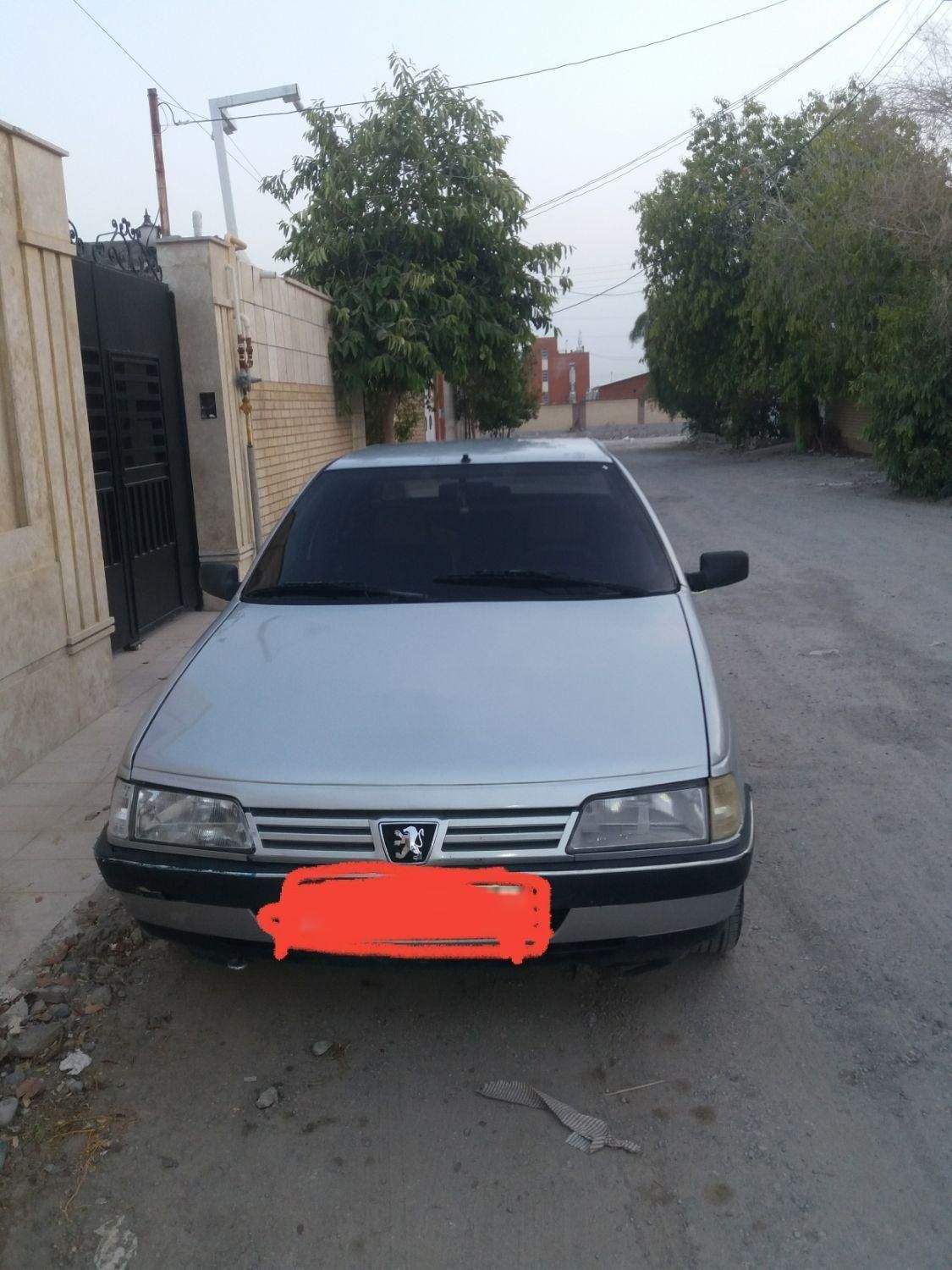 پژو 405 GLX - دوگانه سوز LPG - 1388