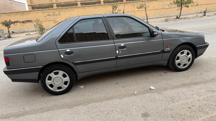 پژو 405 GL - دوگانه سوز CNG - 1369