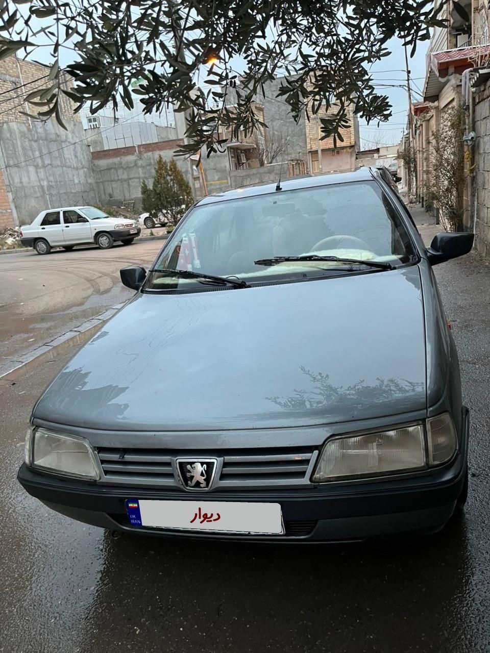 پژو 405 GL - دوگانه سوز CNG - 1373