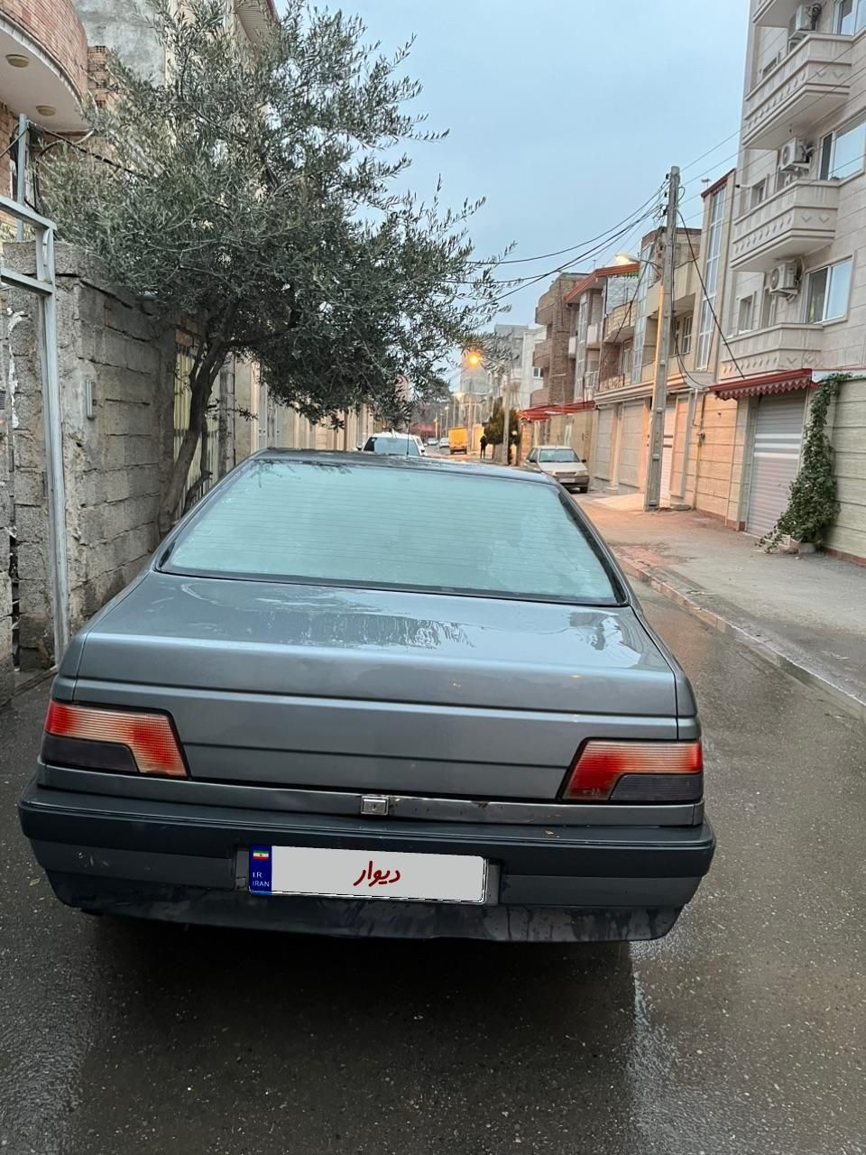 پژو 405 GL - دوگانه سوز CNG - 1373