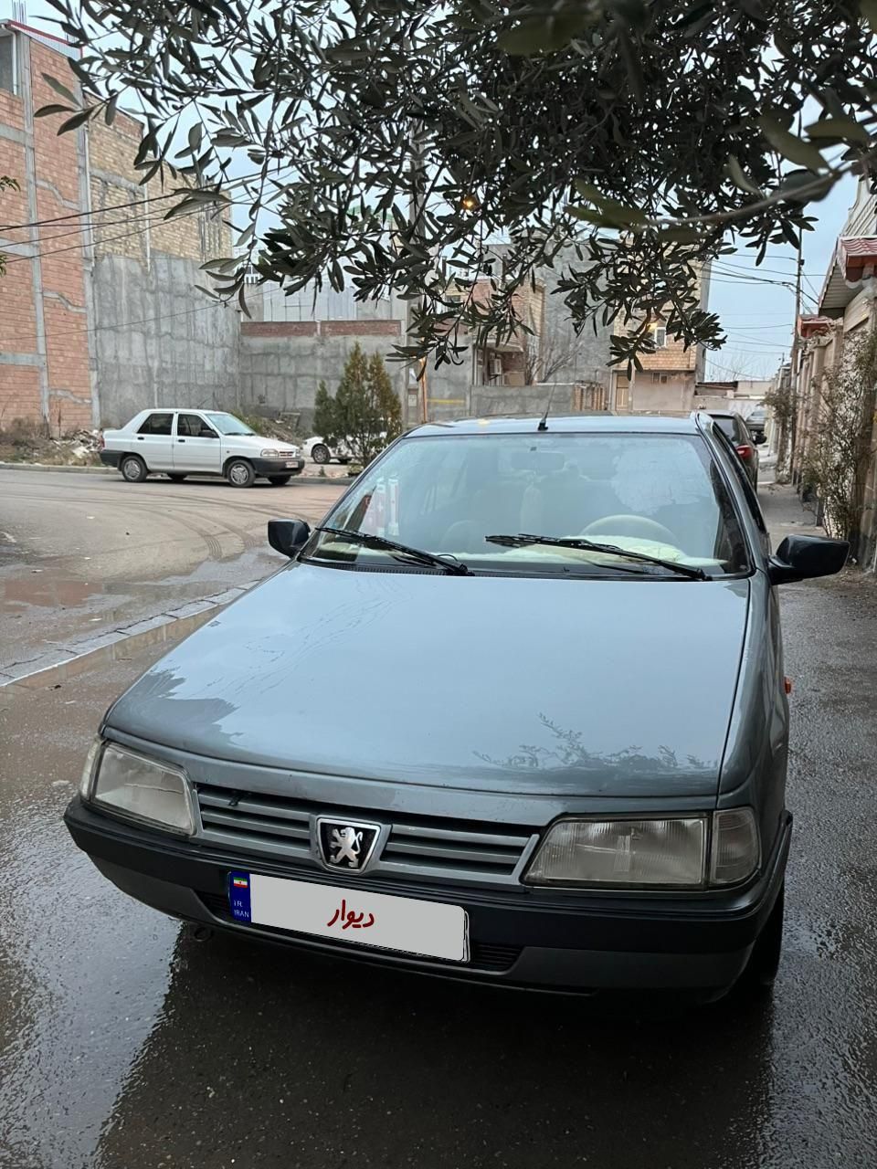 پژو 405 GL - دوگانه سوز CNG - 1373