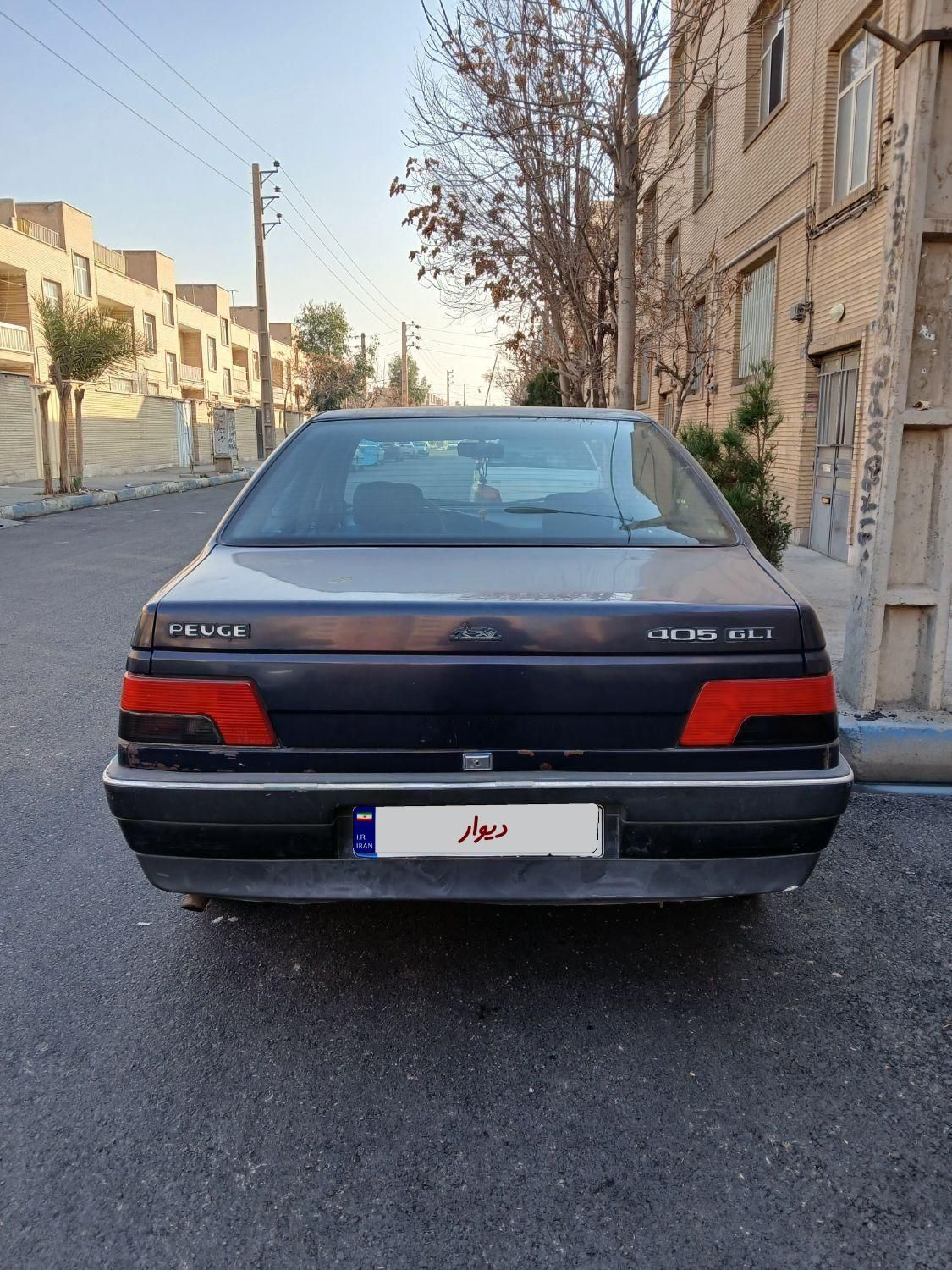 پژو 405 GLI - دوگانه سوز CNG - 1383