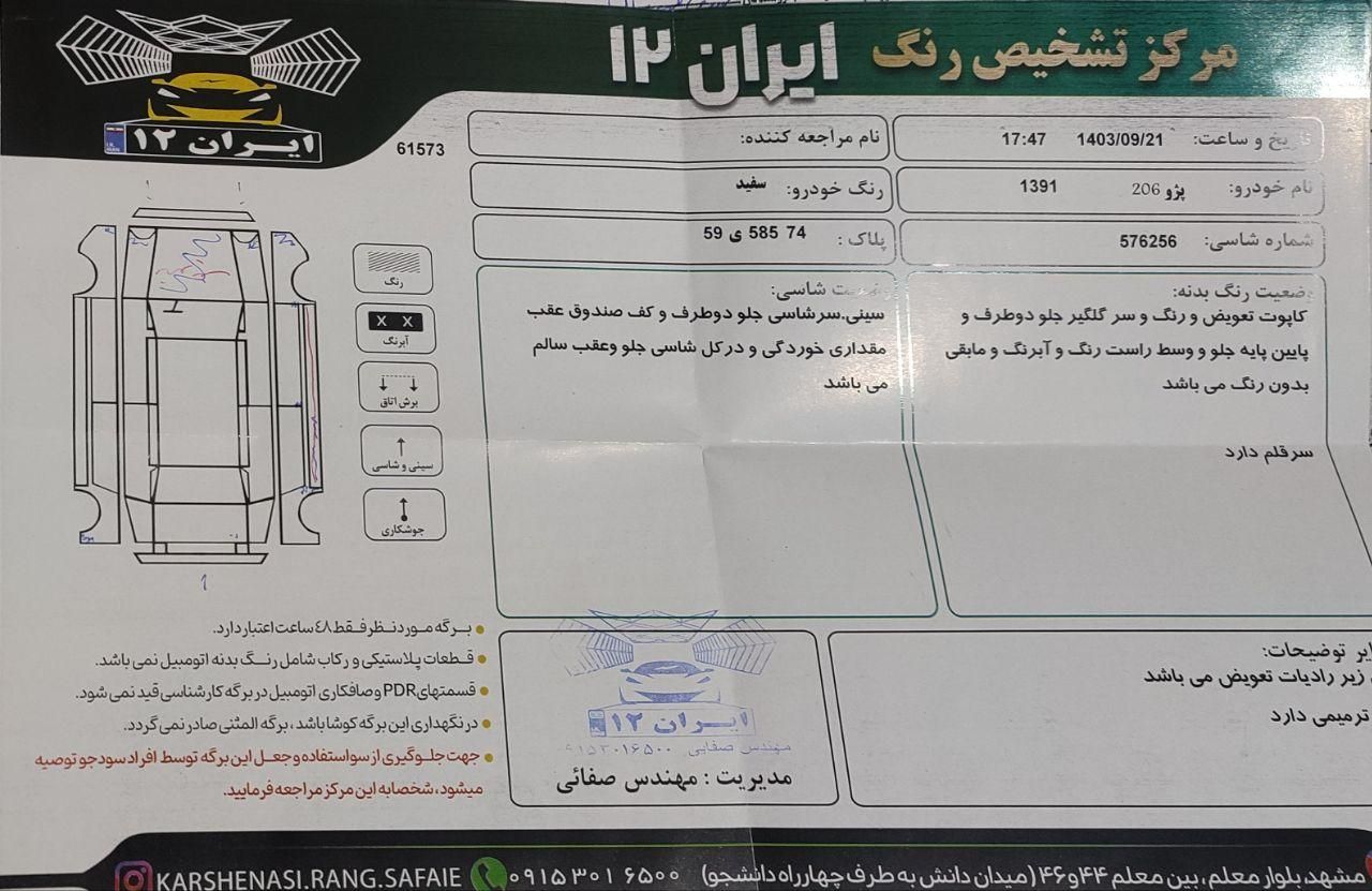 پژو 206 تیپ 2 - 1391