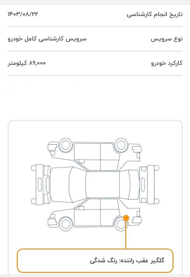 دنا معمولی دنده ای تیپ ۲ - 1397