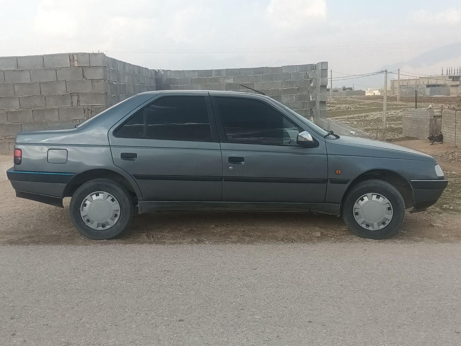 پژو 405 GL - دوگانه سوز CNG - 1371