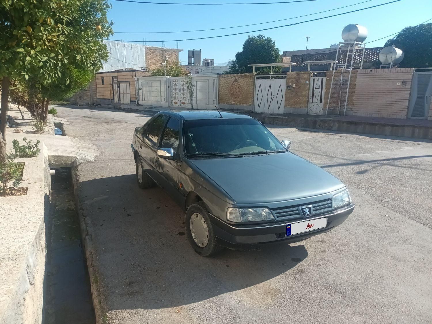 پژو 405 GL - دوگانه سوز CNG - 1371