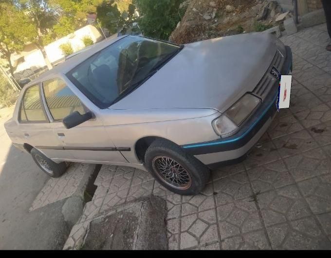 پژو 405 GLI - دوگانه سوز CNG - 1385