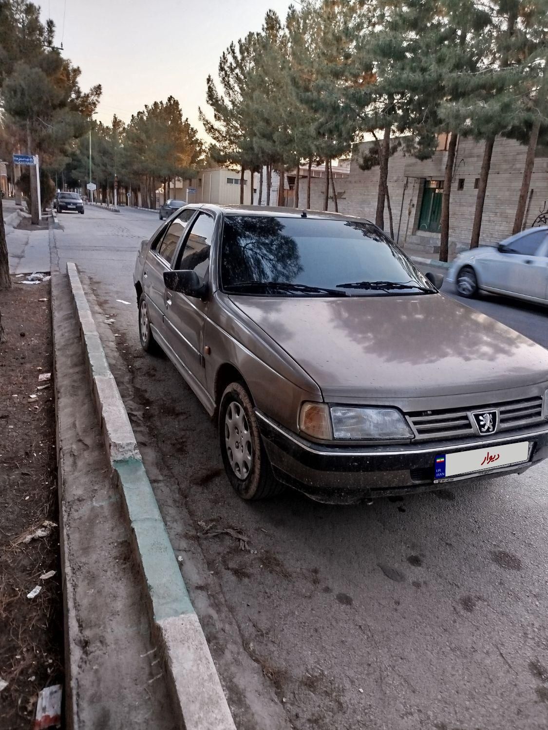 پژو 405 GLI - دوگانه سوز CNG - 1383