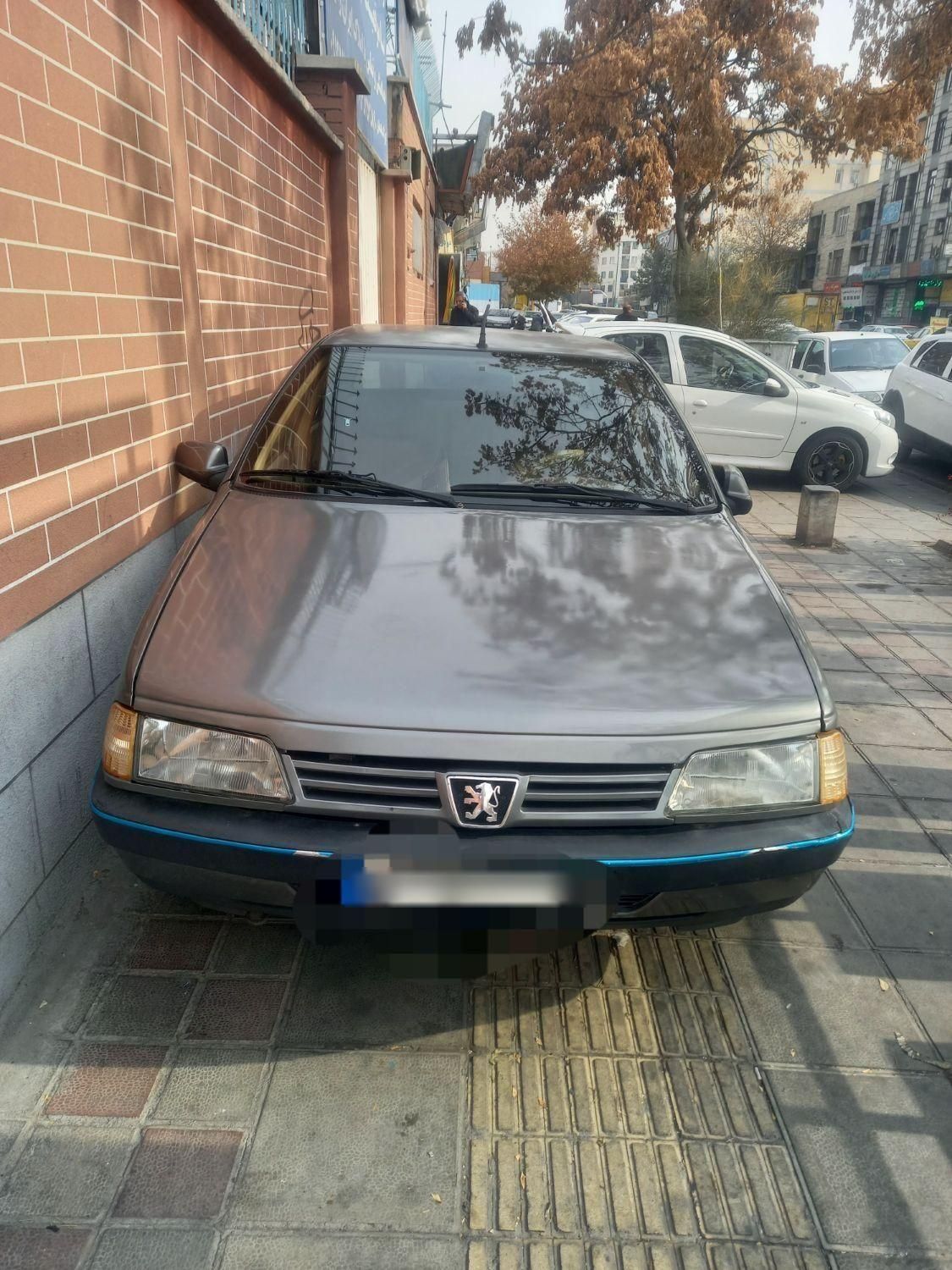 پژو 405 GL - دوگانه سوز CNG - 1373