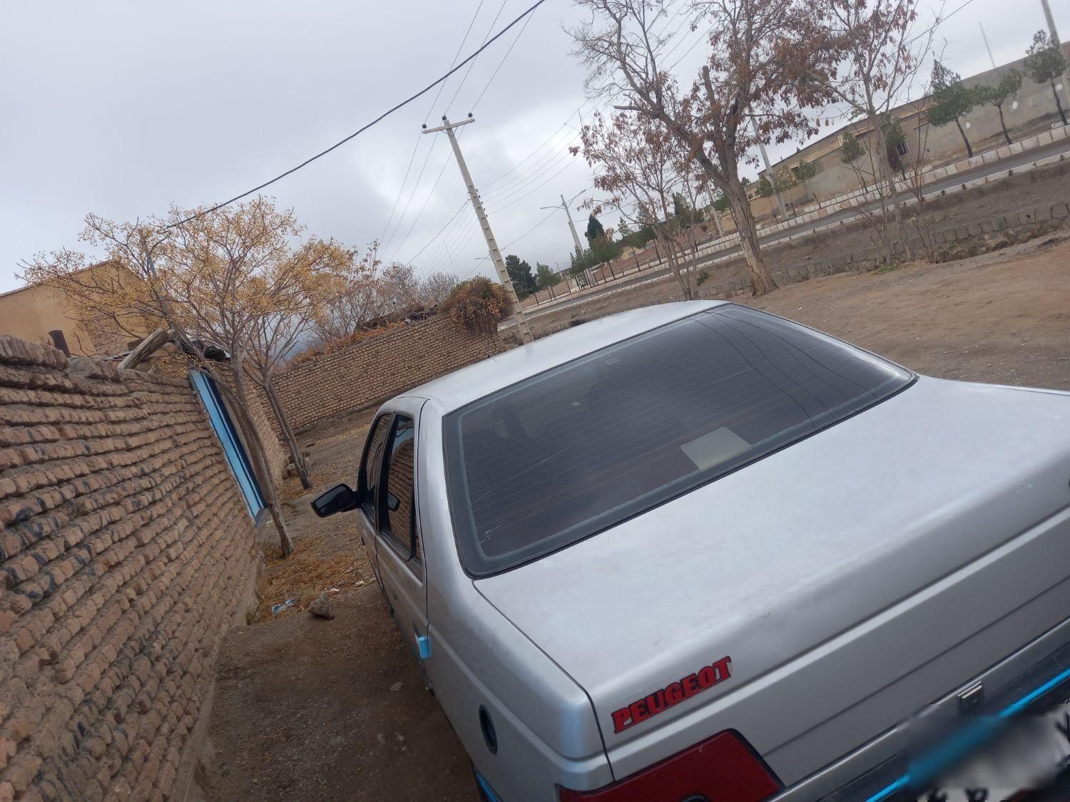 پژو 405 GL - دوگانه سوز CNG - 1370