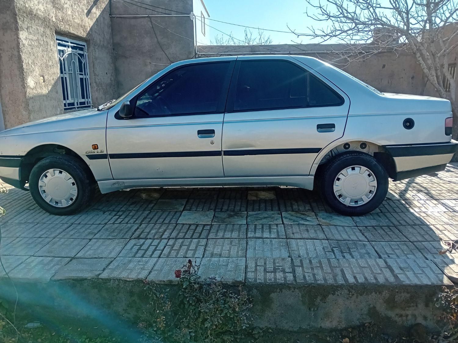 پژو 405 GL - دوگانه سوز CNG - 1369