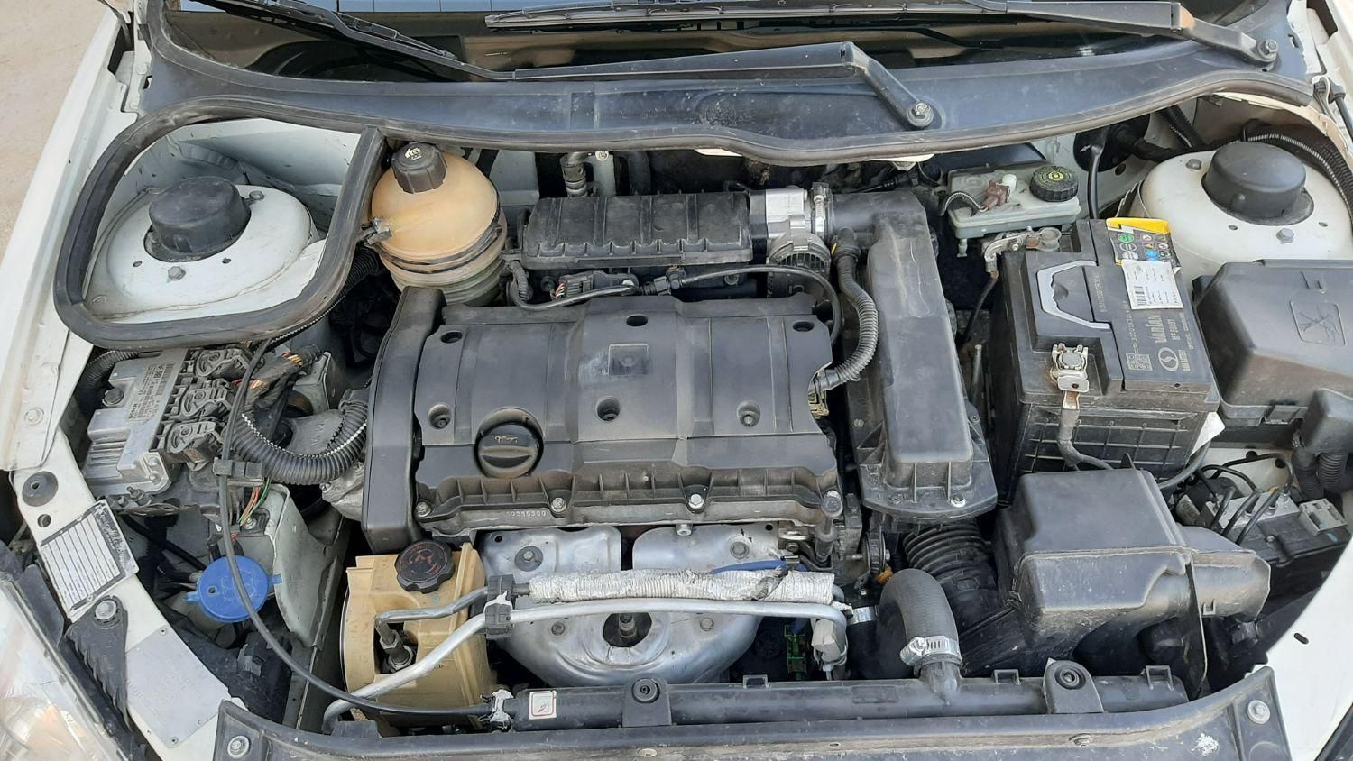 پژو 206 SD v8 - 1390