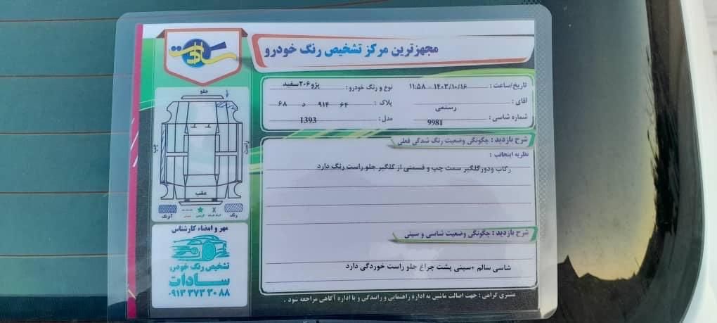 پژو 206 تیپ 5 - 1393