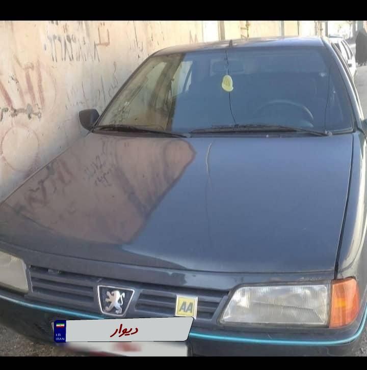 پژو 405 GLI - دوگانه سوز CNG - 1384