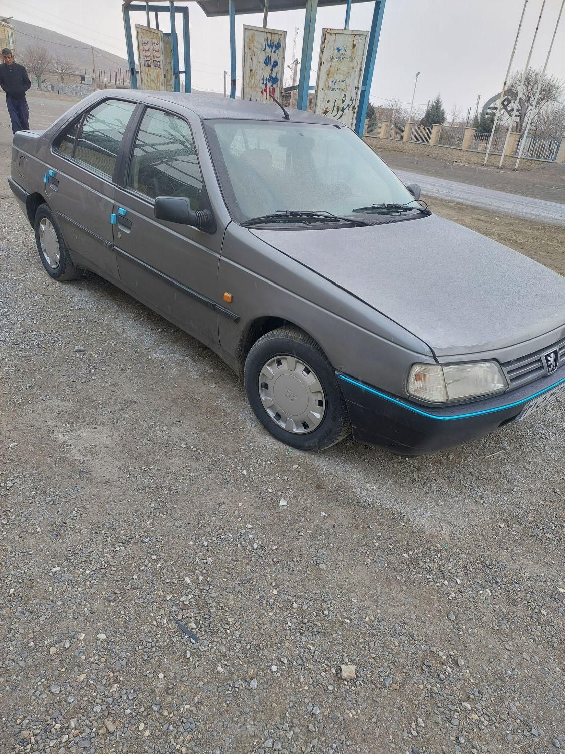 پژو 405 GL - دوگانه سوز CNG - 1369