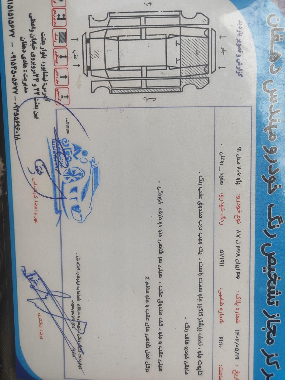 پژو 206 تیپ 2 - 1391