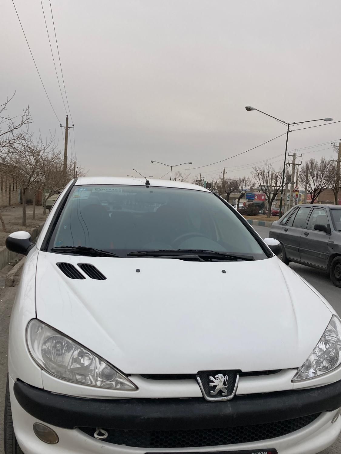 پژو 206 SD v8 - 1394