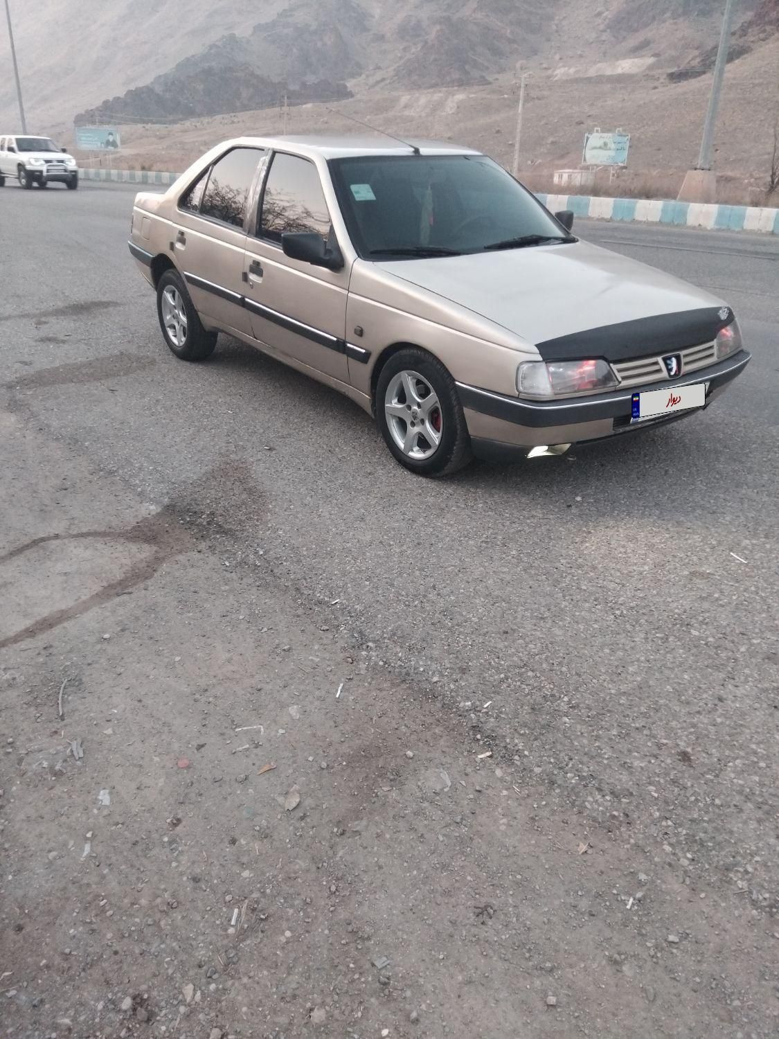 پژو 405 GLI - دوگانه سوز CNG - 1384