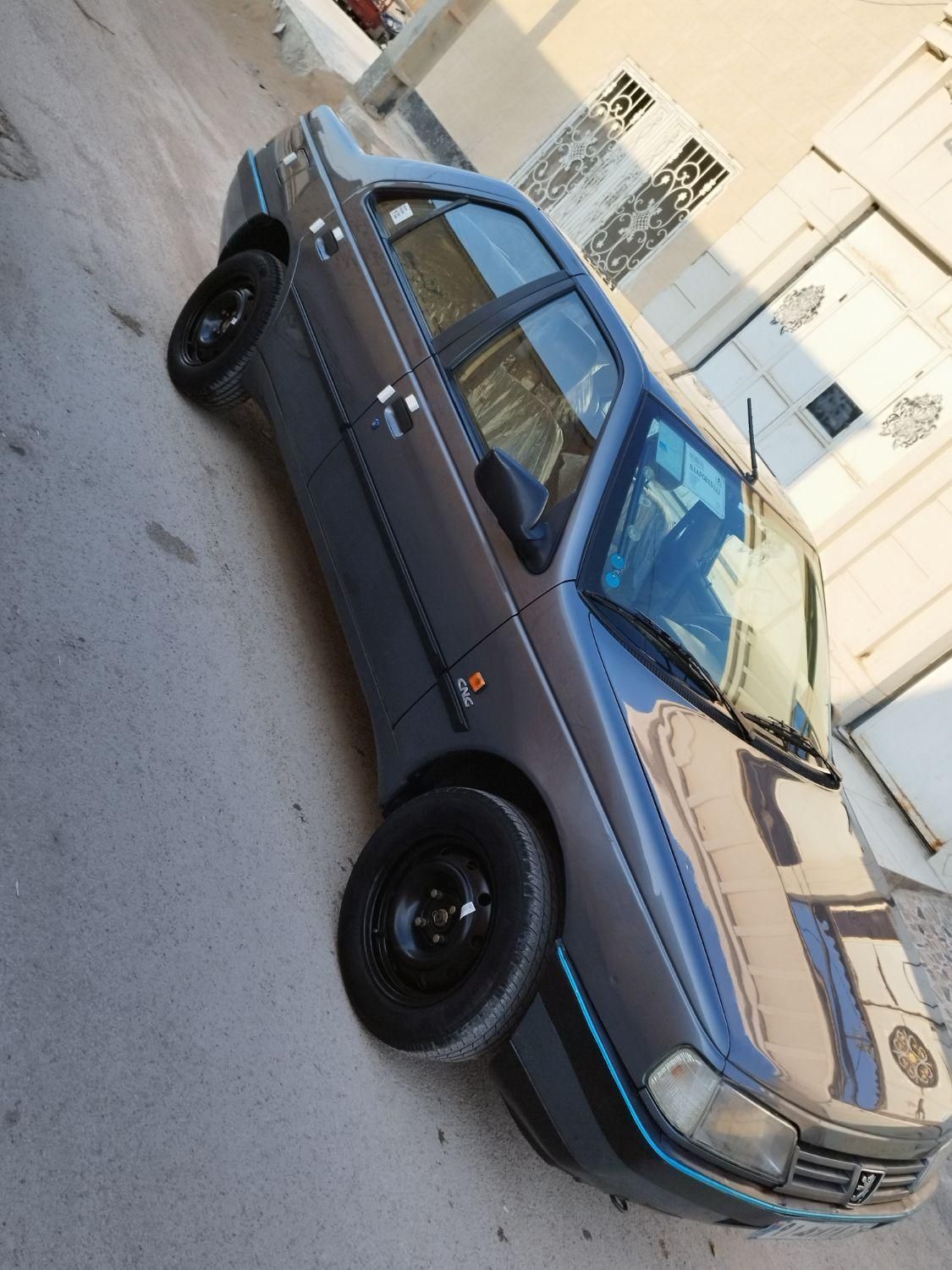 پژو 405 GL - دوگانه سوز CNG - 1369