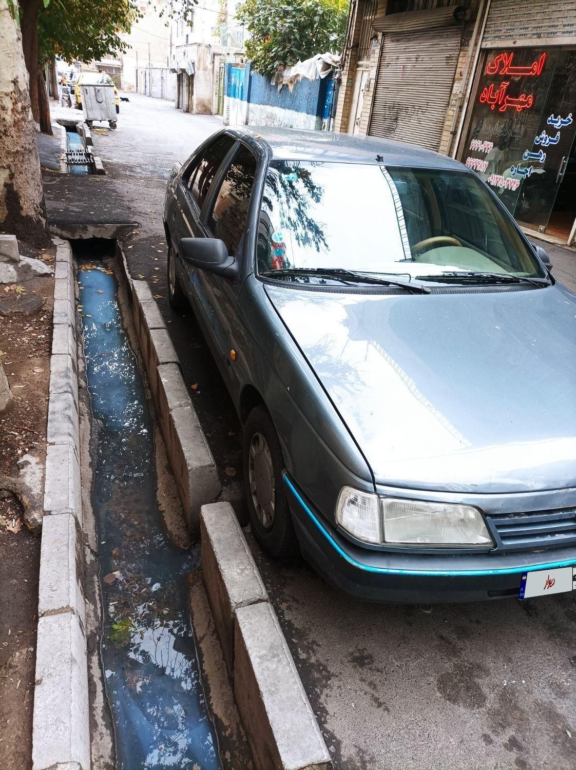 پژو 405 GL - دوگانه سوز CNG - 1369