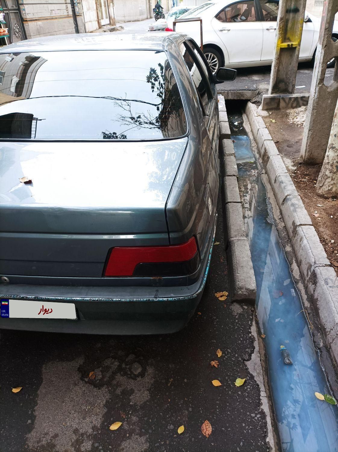 پژو 405 GL - دوگانه سوز CNG - 1369