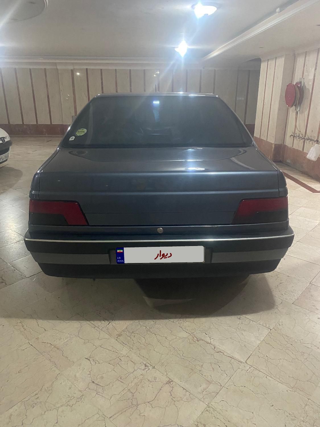 پژو 405 GL - دوگانه سوز CNG - 1369