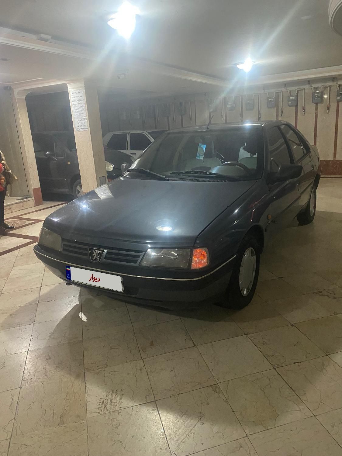 پژو 405 GL - دوگانه سوز CNG - 1369