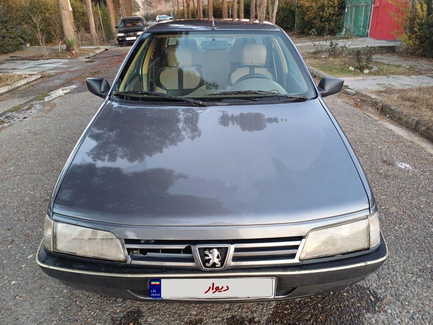 پژو 405 GL - دوگانه سوز CNG - 1373