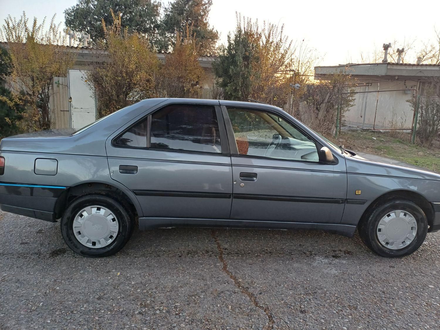 پژو 405 GL - دوگانه سوز CNG - 1373