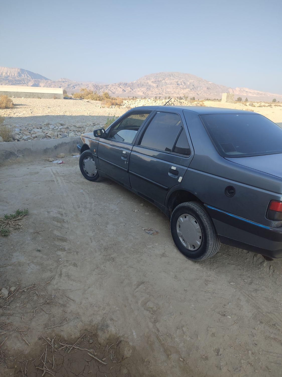 پژو 405 GL - دوگانه سوز CNG - 1373