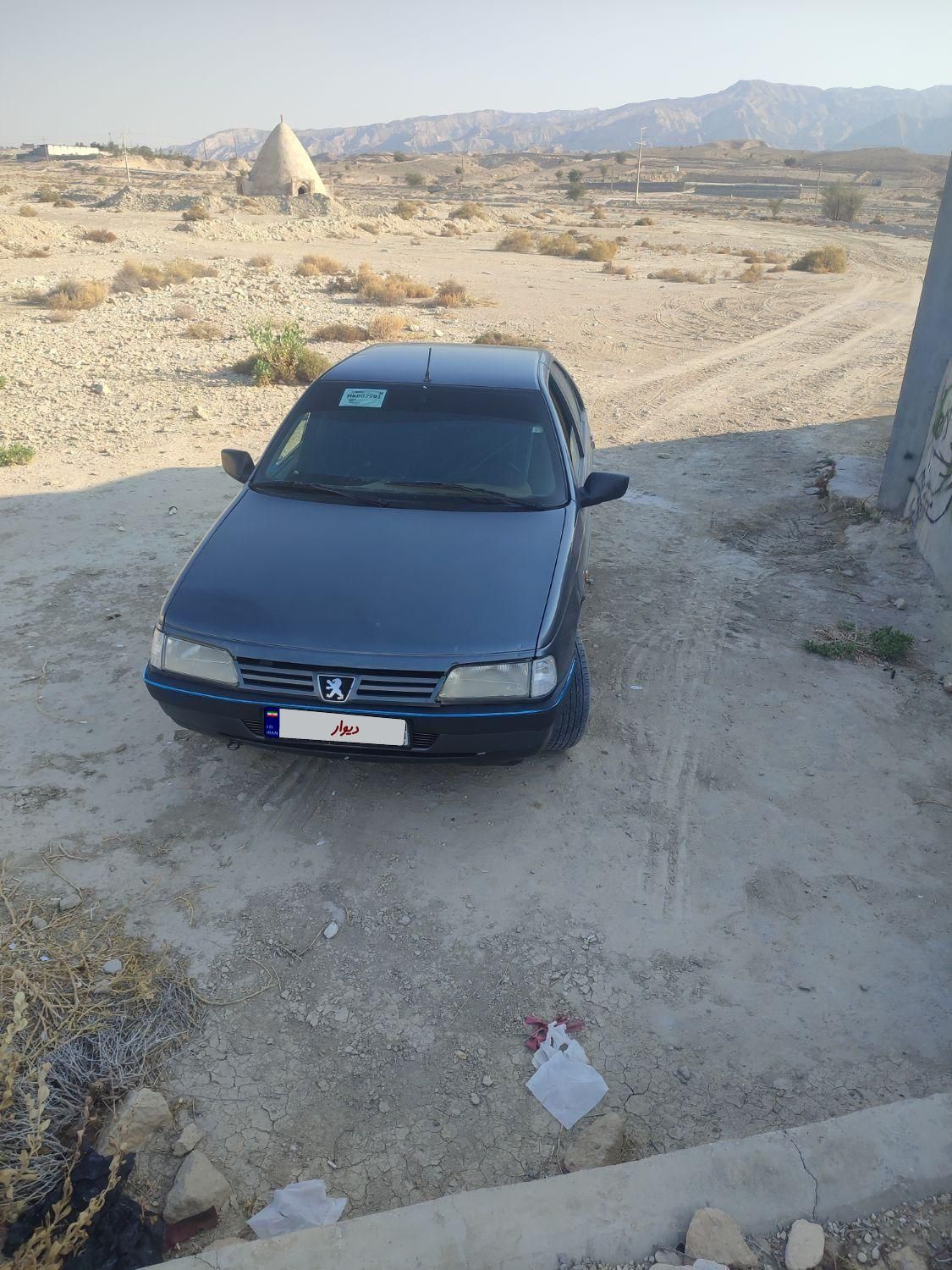 پژو 405 GL - دوگانه سوز CNG - 1373