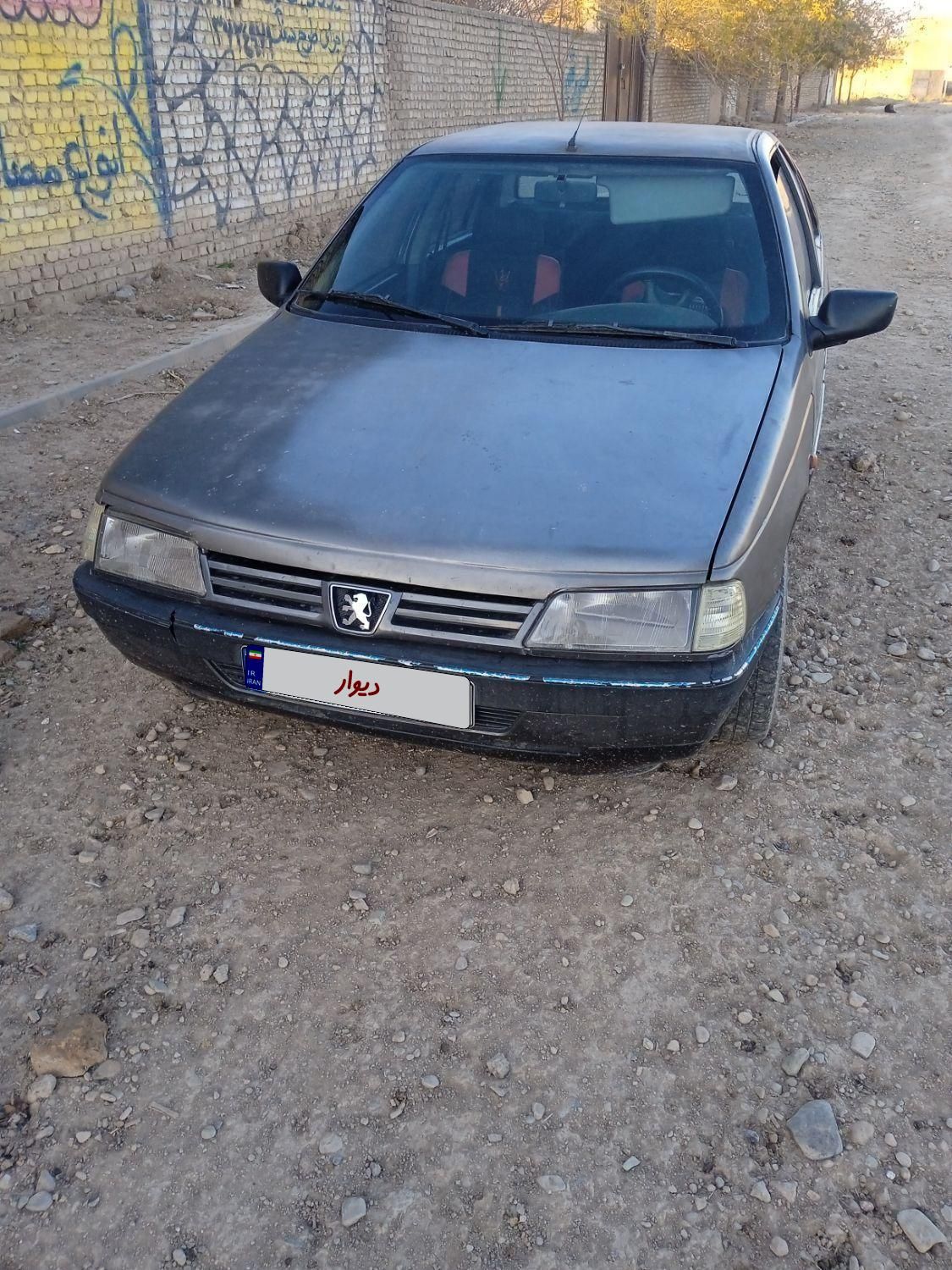 پژو 405 GL - دوگانه سوز CNG - 1369