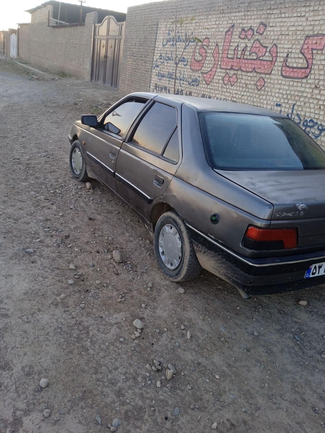 پژو 405 GL - دوگانه سوز CNG - 1369