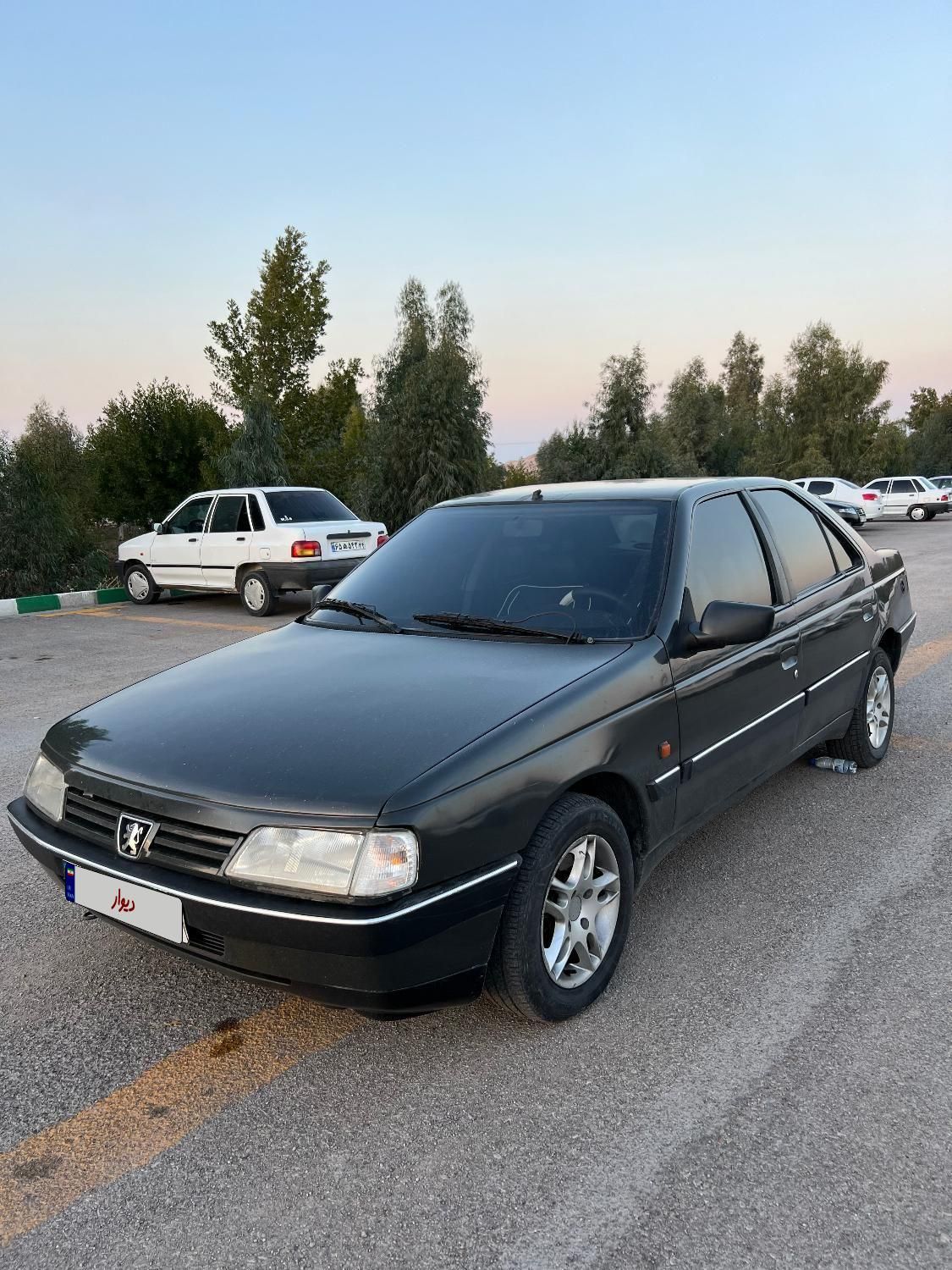 پژو 405 GLI - 1384