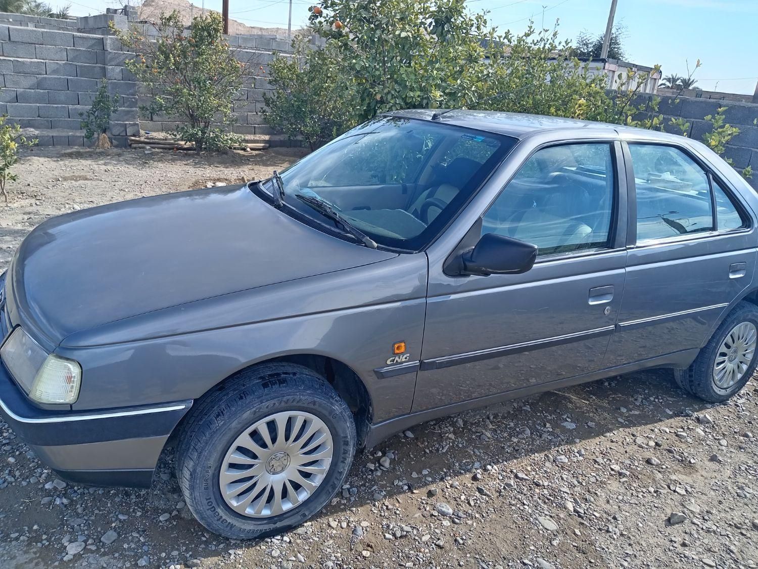 پژو 405 GL - دوگانه سوز CNG - 1373