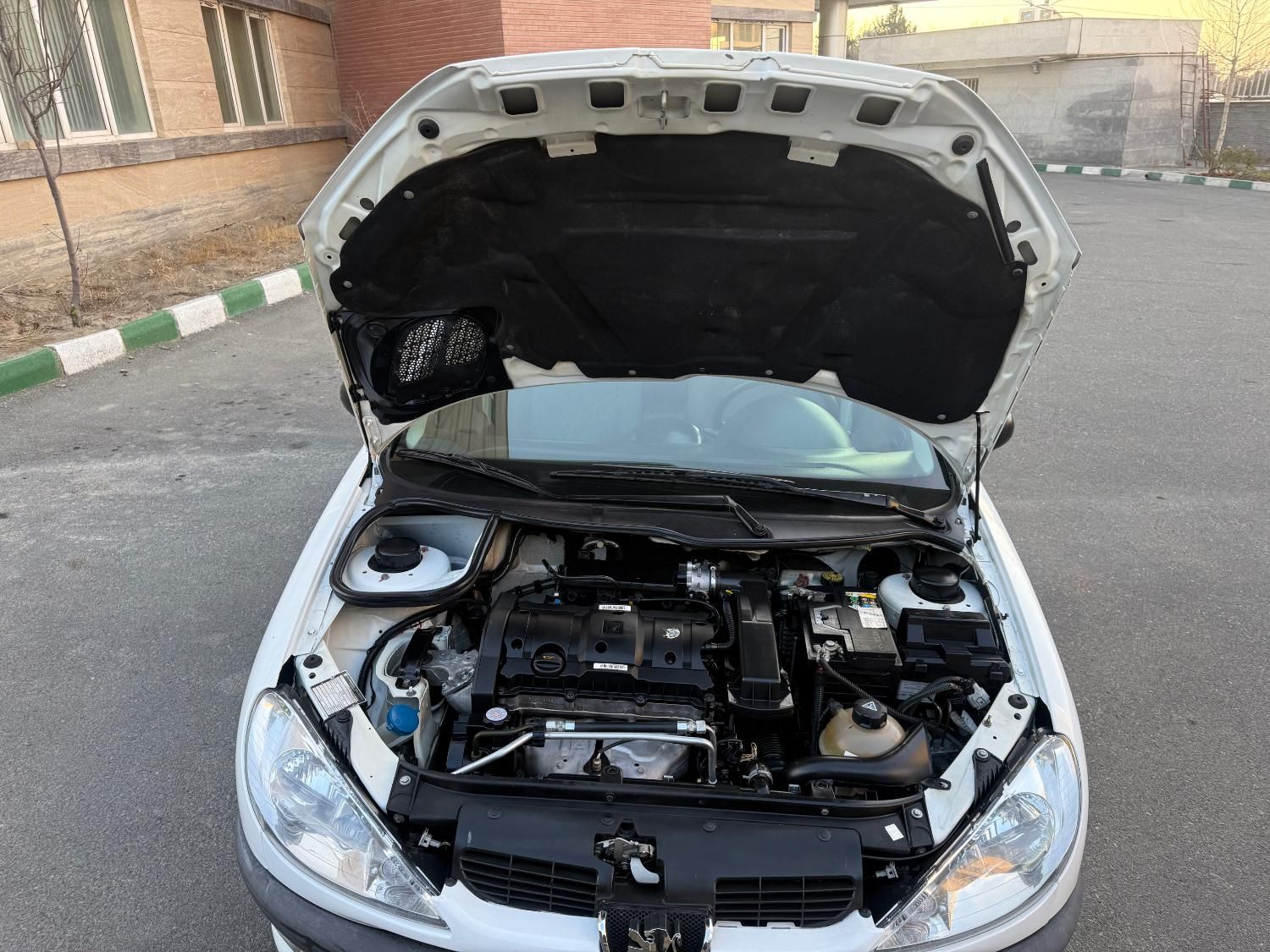 پژو 206 SD v8 - 1392