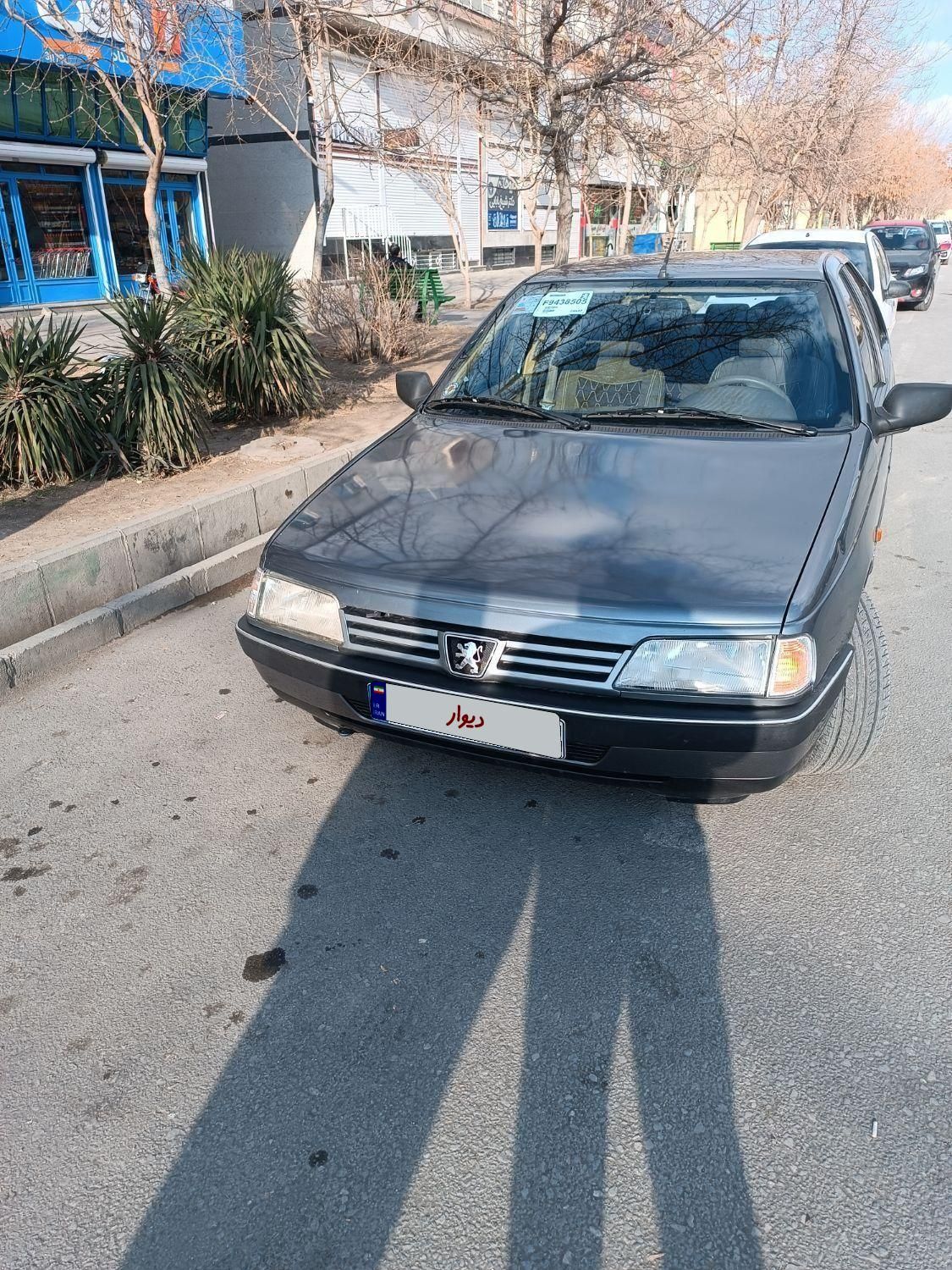 پژو 405 GL - دوگانه سوز CNG - 1373